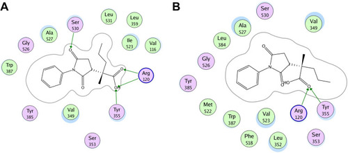 Figure 3 COX 1 and 2 molecular docking on the corresponding carboxylic acid form of compound 4.