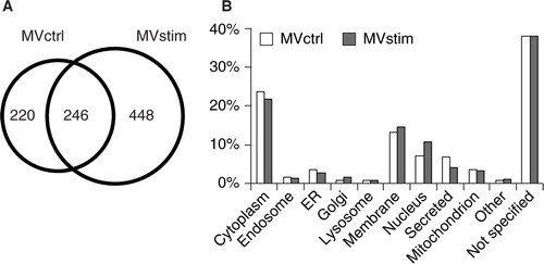 Fig. 2.  Proteome analysis of hUCBMSC MVs. (A) The Venn diagram illustrates common and unique proteins in control MVs (MVctrl) and stimulated (MVstim). (B) The subcellular locations of protein found in either MVctrl (white bar) or MVstim (grey bar) according to UniprotKB database.