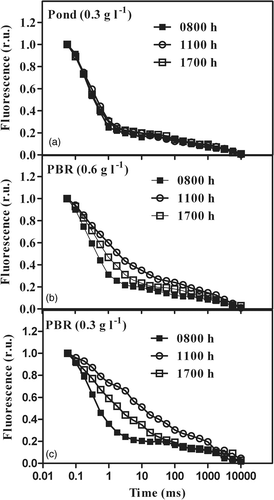 Fig. 8. Time course of QA reoxidation kinetics during the day in P. tricornutum cultures grown outdoors in an open pond and tubular photobioreactors.