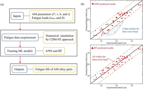 Figure 13. The fatigue life prediction of AM Ti-6Al-4V alloys with the CDM-ANN/RF method. (a) Computational flowchart; (b) Variation of the predicted fatigue life against experimental data by ML. Reprinted with permission from Zhan et al. [Citation223] (Copyright (2021) Elsevier).