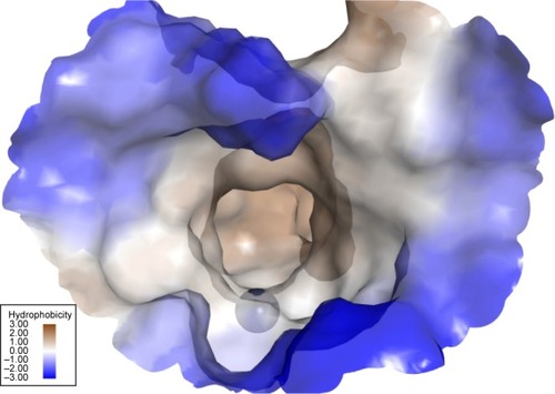 Figure 3 Active site of the Glo-I enzyme.