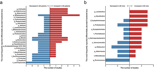 Figure 1. An overview of the most frequently reported differentially abundant gut taxa (reported in at least three studies) of Alzheimer’s disease (AD) in (a) humans and (b) animals.