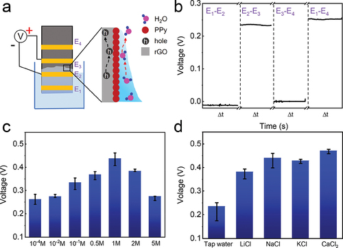 Figure 5. Factor analysis for the rGO/PPy device. (a) a schematic of a four-electrode rGO/PPy device and illustrated mechanism for electricity generation based on water evaporation. The distance between adjacent electrodes is 0.5 cm and the capillary front lies between E2 and E3. (b) Recorded voltages between two selected electrodes of the device, Δt = 100 seconds. (c,d) Generated voltages of the rGO/PPy device using (c) the NaCl solutions of different concentrations as well as (d) tap water and 1 M salt solutions.