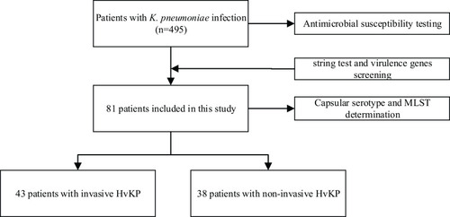 Figure 3 Flowchart of the included patients with hypervirulent Klebsiella pneumoniae (HvKP).