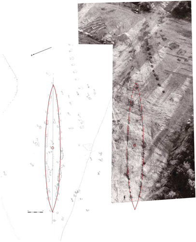 Fig. 15. Plan drawing and aerial photo of the Uppgarde ship with central posthole circled in red. Photo: Manneke (Citation1967), from Wehlin (Citation2010).