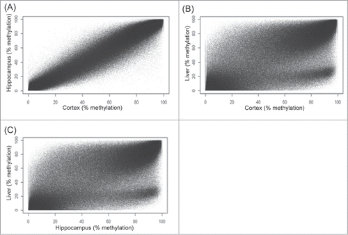 Figure 2. Comparison of DNA methylation level between different tissues. (A) Hippocampus vs. Cortex. (B) Cortex vs. Liver (C) Hippocampus vs. Liver. Figures shown are scatter plots between different tissues using average DNA methylation levels from triplicates of each tissue tissue.