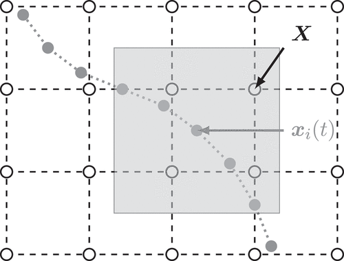 Figure 11. Illustration of interpolation and spreading in the immersed boundary method. The velocity of the Eulerian lattice nodes (open circles, coordinates X) is interpolated at the location xi(t) of each Lagrangian vertex (solid circles), see EquationEquation 41(41) γ˙=2uw/L.(41) EquationEquation 34(34) x˙i=Δxd∑Xu(X)δ(X−xi),(34) . Only lattice nodes within the interpolation window (grey square) around the Lagrangian vertex of interest are considered. Force spreading, EquationEquation 35(35) b(X)=∑ifiδ(X−xi)(35) EquationEquation 41(41) γ˙=2uw/L.(41) , works the other way around, where each Lagrangian vertex distributes its force to the lattice nodes within the corresponding spreading window.