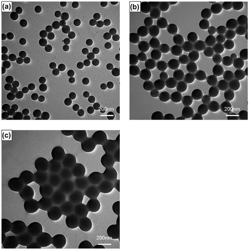 Figure 7. The morphologies of latex particles prepared in solutions of different methanol content (methanol/water = a: 0; b: 15%; c: 30%).