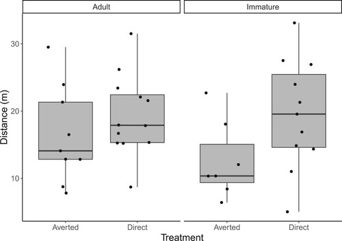 Figure 2. Boxplots illustrating distribution of Herring Gull flight initiation distance of each treatment in each age group. Jitter dots represent individual samples. Horizontal bars represent the medians, grey boxes represent interquartile ranges, and whiskers represent minimum and maximum values.
