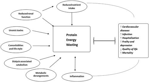 Figure 1. Factors that influence PEW (from Ref. [Citation9]).