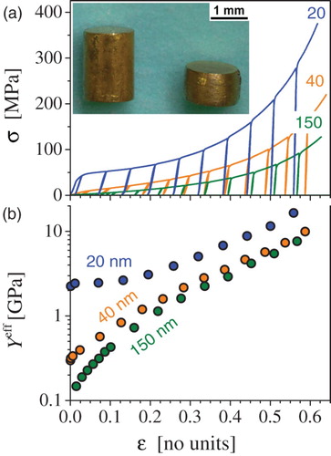 Figure 3. Compression behavior of NPG with mean ligament diameters , 40, 150 nm: (a) Graphs of stress, σ versus engineering compression strain, , including unload-reload cycles. Strain rate . Insert: photographs of samples before and after compression. (b) Effective Youngs modulus, , determined as secant modulus in the unload/reload segments, versus .