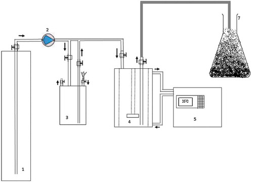 Figure 28. Schematic of the experimental setup, (1) CO2 cylinder, (2) high-pressure pump, (3) APS solution reservoir, (4) high-pressure autoclave, (5) water batch, (6) APS injection hopper, and (7) product accumulator.