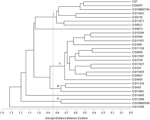 Figure 2. Dendrogram generated for the 28 groundnut genotypes using UPGMA linkage cluster analysis based on Jaccard similarity coefficient