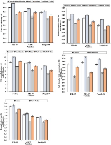 Figure 2. Effect of foliar application of proline (80 mM) on stomatal conductance, sub-stomatal CO2 concentration, CO2 assimilation rate, transpiration rate, and water-use-efficiency in wheat varieties grown under Cu stress.