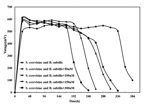 Figure 10. The effect of adding riboflavin on the output voltage of composite bacteria MFC