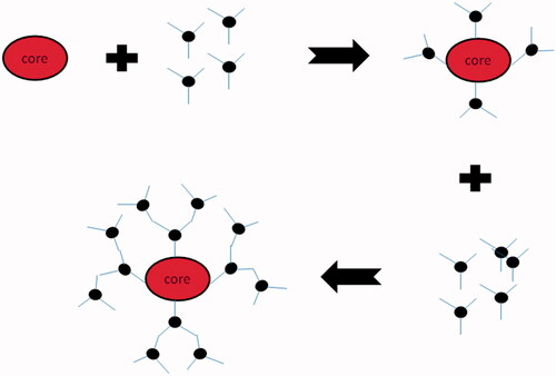 Figure 3. Schematic representation of divergent method of synthesis of dendrimers.