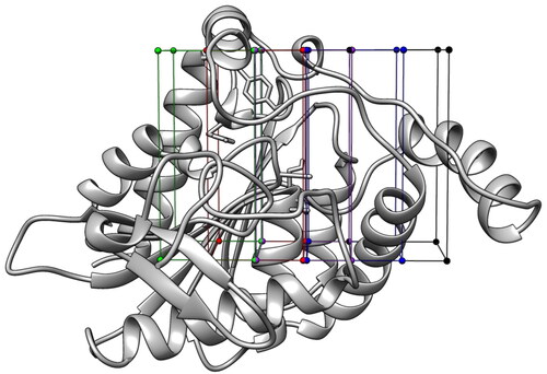 Figure 1. Subdivision of MAGL catalytic site (PDB code: 3PE6) into 5 different grids.