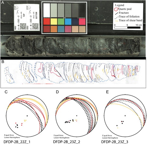 Figure 5. Key structures from one of the wall rock core sections (23_Z_2; 475.5-476 m MD [ICDP5052ES06HU2]) illustrated through A scan of the core and B tracing of the outer surface of the core. C–E, Relative orientations of foliations (black dashed great circles), shear bands (yellow great circles) and prominent quartz veins (red great circles) and their associated poles for all three main core sections demonstrated on lower hemisphere equal area projections. Note that, because the cores were not oriented, these plots are in a reference frame fixed to that core section only. In each case, the top of the stereonet is parallel to the arbitrary reference line scribed along the length of each section and the core axis plots in the centre of the stereonet.