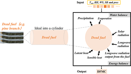 Figure 4. The schematic diagram of the process-based model, FSMM, in which the dead fuel (e.g. pine branches) is idealized as a cylinder. The FSMM modelled the water and energy balance processes with input of meteorological variables.