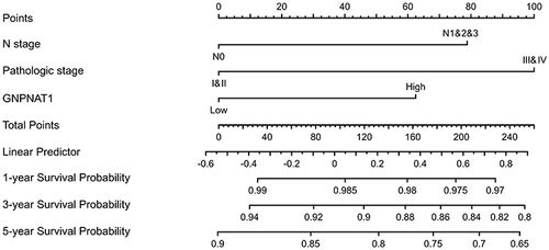 Figure 4 A nomogram for predicting the 1-year, 3-year, and five-year survival probability of breast cancer patients.