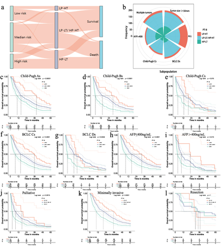 Figure 5 Comparison of survival distribution by the risk score and PLT-CD8+T cells counts in different subpopulations. (a) Sankey diagram displaying the relationship between different risk subgroups, PLT-CD8+T cells counts subgroups and 3-year outcome; (b) The rose plot displaying the distribution of PT-8 indicators in all patients and subgroups with tumor size>50mm, multiple tumors, Child Pugh C stage, BCLC D stage, and AFP>400ng/mL. (c–e) Comparison of Kaplan–Meier OS curves between patients with different PT-8 metrics at Child-Pugh A, B, or C stage, (f and g) BCLC C or D stage, (h and i) AFP ≤400ng/mL or >400ng/mL, and (j–l) Palliative, Minimally invasive or Resection. LP-HT, Low PLT and High CD8+Ts; LP-LT/ HP-HT, Low PLT and Low CD8+Ts/ High PLT and High CD8+Ts; HP-LT, High PLT and Low CD8+Ts.