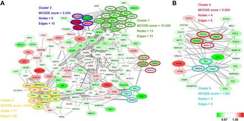 Figure 3 Protein–protein interaction networks. (A) The protein–protein interactions of all significantly changed proteins were analyzed with STRING (http://www.string-db.org). The MCODE plugin tool in Cytoscape was used for further analysis of densely connected regions. (B) Two highly connected clusters (Cluster 4 and Cluster 5) and proteins interacting with these clusters are shown. Cluster 4 is mainly related to the function of macrophages, and cluster 5 is closely related to platelet activation. The upregulated proteins are shown with a red background and the downregulated proteins are shown with a green background.
