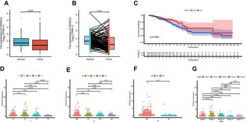 Figure 5 CD40LG expression level and its association with tumor clinicopathological characteristics. (A) Comparison of CD40LG expression between normal samples and tumor samples. (B) Comparison of CD40LG expression between normal samples and paired tumor samples. (C) Kaplan–Meier survival curve of high and low CD40LG expression groups. (D) CD40LG expression and tumor T stage. (E) CD40LG expression and tumor N stage. (F) CD40LG expression and tumor distal metastasis. (G) CD40LG expression and tumor overall TNM stage.