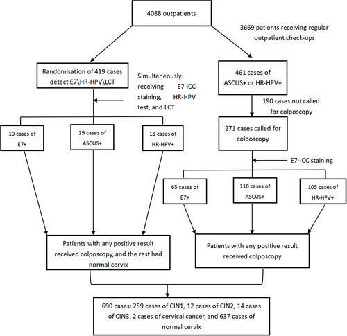 Figure 2 Flowchart of the screening protocol.