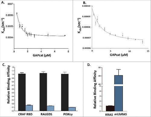 Figure 1. Panel A: Fluorescence binding curve of KRAS (mGppCp) with GAPcat (Kd = 1.9 ± 0.2 μM) compared with Panel B: Fluorescence binding assay of mUbRAS (mGppCp) with GAPcat (Kd = 19.4± 1.4 μM). Panel C: Relative binding affinity of KRAS (mGppCp, black bars) and mUbRAS (mGppCp, blue bars) with effectors CRAF RBD, RALGDS, and PI3Kcγ. Monoubiquitylated KRAS (mGppCp) shows a 7 to 9-decrease in affinity to the CRAF RBD, RalGDS RBD, and PI3Kcγ. Statistical error was determined from 3–5 independent experiments. Panel D: In contrast, mUbRAS (GDP shows 45-fold higher affinity relative to wt KRAS (GDP). Statistical error was determined from 3–5 independent experiments.