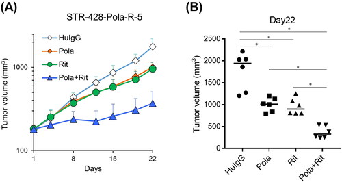 Figure 5. Combination efficacy of Pola plus Rit in the STR-428-Pola-R-5 xenograft model. A, B, SCID Mice bearing STR-428-Pola-R-5 cells were randomly divided into each group (n = 6/group). mice were treated with Pola (1 mg/kg), Rit (10 mg/kg), or Pola (1 mg/kg) plus Rit (10 mg/kg) on Day 1. As a control, HuIgG was administered. (A) Data points are mean + SD. (B) Tumor volumes measured on Day 22 are shown. Dots represent individual values and bars represent median. Statistically significant differences are shown as * p < 0.05 by Wilcoxon rank sum test with Holm-Bonferroni method applied.