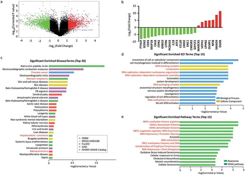 Figure 3. Gene expression profiling of acid-adapted SW620 cells (a) Volcano plot showing the gene expression profile of SW620-NA and SW620-AA cells. (b) Validation of the differential expression genes in SW620-NA and SW620-AA cells by RT-PCR. (c) David disease enrichment analysis of the differential genes. (d) The top 15 significant enriched Go terms of the differential genes. (e) The top 15 significant enriched Pathway terms of the differential genes