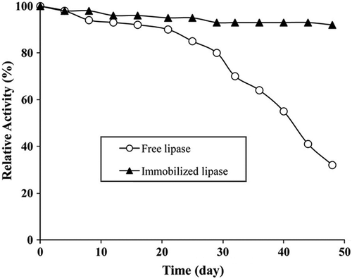 Figure 7. Storage stabilities of free and immobilized lipases.