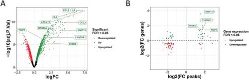 Figure 2. Correlation between differentially accessible chromatin regions and gene expression changes