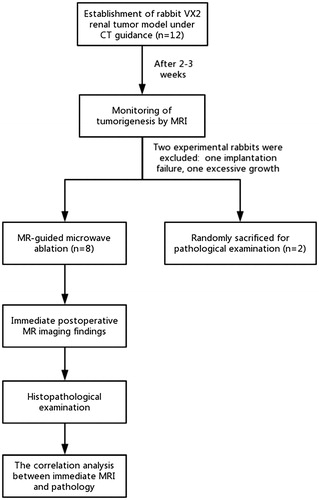 Figure 7. Flow chart of the study.