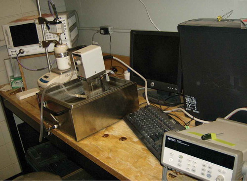 FIGURE 1 Experimental setup for measuring dielectric properties.