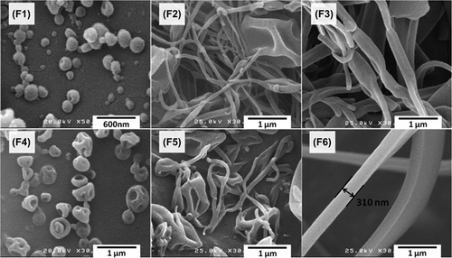 Figure 1. SEM images for MPA-Eudragit® RS100 electrospuns. F1–F3: samples with the drug: polymer ratio of 1:5 and solution concentrations of 10% (F1), 15% (F2) and 20% (F3). F4–F6: samples with the drug: polymer ratio of 1:10 and solution concentrations of 10% (F4), 15% (F5) and 20% (F6).