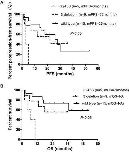 Figure 3 Survival analysis. The Kaplan–Meier curve showed the survival of three subgroups of NSCLC patients: patients with wild-type TP53, TP53 G245S mutation, and TP53 exon 3 deletion. (A) Progression-free survival (PFS) curve. (B) Overall survival (OS) curve. The statistical difference was shown on the graph.