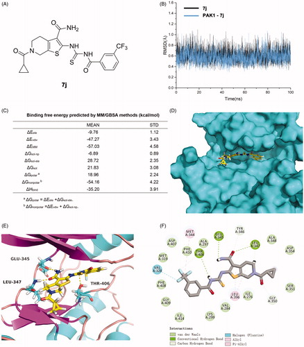 Figure 3. 7j is a novel potent PAK1 inhibitor. (A) The structure of 7j; (B) The time evolution of RMSD of backbone atoms for the residues around 5 Å of 7j and heavy atoms of 7j; (C) The binding free energy calculated by MM/GBSA methods (kcal/mol) of 7j and PAK1. (D) The p interaction surface; (E, F). The detailed interactions between 7j and PAK1.