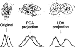 FIGURE 2 A two-class example of PCA and LDA transformations.