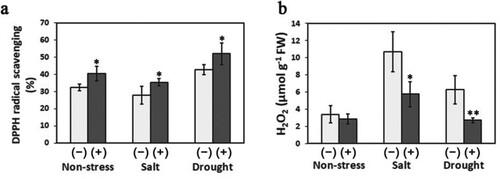 Figure 6. The impacts of Klebsiella sp. San01 on antioxidant activity and ROS accumulation of sweet potato plants exposed to salinity and drought. The DPPH-radical scavenging ability (a) and H2O2 accumulation (b) were determined in San01-inoculated (+) and non-inoculated (−) sweet potato plants under non-stress, salt, and drought conditions. Values are the means (n = 5) with corresponding standard deviations. Statistical significance between San01-inoculated plants and non-inoculated plants was examined by Student’s t-test (*P < 0.05; **P < 0.01).