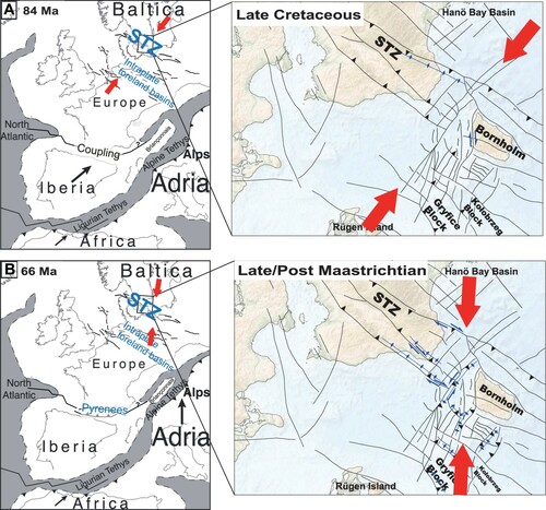 Figure 11. Kinematics of the Late Cretaceous (A. top) and Cretaceous-Paleocene boundary (B. bottom) inversions of the Tornquist Zone in vicinity of the Bornholm Gat. Reconstruction of Late Cretaceous paleogeography is based on Kley & Voigt (Citation2008); Handy et al. (Citation2010) and Dielforder et al. (Citation2019). Map shows detailed structural features (compiled from Vejbæk, Citation1994; Wannäs & Flodén, Citation1994; Erlström et al., Citation1997; Erlström & Sivhed, Citation2001; Lassen & Thybo, Citation2012; Jensen et al., Citation2017; Seidel et al., Citation2018). The strike-slip faulting (in a conjugate form in the lower panel) and formation of primary inversion anticlines are indicated in blue. The principal compressional stresses (Bergerat et al., Citation2007) are indicated by red arrows.