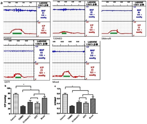 Figure 1 Comparison of ICP and ICP/MAP after the end of experiment in each group of rats.