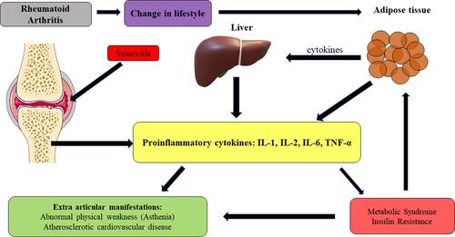 Figure 2 Commonality between pathophysiology of rheumatoid arthritis and insulin resistance.