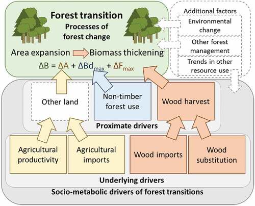 Figure 1. Analytical framework of socio-metabolic drivers of forest transitions (ΔB: change in forest biomass, ΔA: change in forest area, ΔBdmax: change in maximum forest biomass density at contemporary management and environmental conditions, ΔF: actual biomass as fraction of potential). Non-coloured boxes are not explicitly analysed in this study.