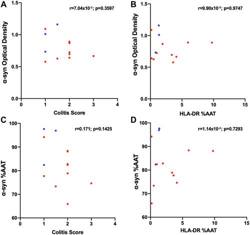 Figure 5 Pearson correlations graphs comparing colitis score vs α-syn optical density (A), HLA-DR %AAT vs α-syn OD (B), colitis score vs α-syn %AAT (C), and HLA-DR %AAT vs α-syn %AAT (D). Each point represents average per subject; the blue points correspond to Mock- and red points to LM- inoculated subjects.