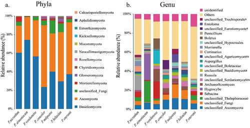 Figure 6. Composition map of the main soil fungal groups at the phylum level and genus level in the habitats of species in subgenus Brachypetalum.