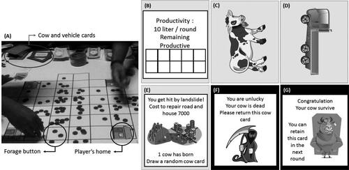 Figure 3. (a) The RPG game board, (b) the back side of cow card, (c) the front side of cow card, (d) the vehicle card, (e) the event card, (f) the mortality card for the dead cow, and (g) the mortality card for the surviving cow.
