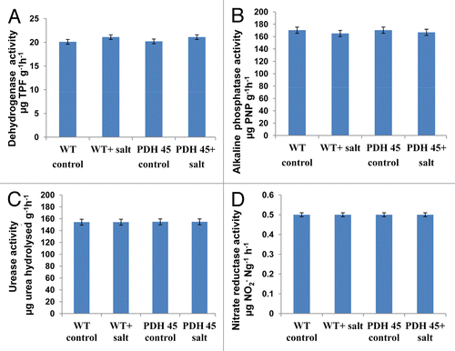 Figure 2. Enzyme activity assay of soils (New Delhi, India). Variations of dehydrogenase (A) acid phosphatase (B), urease (C) and nitrate reductae (D) activities in: (1) WT control (−salt); (2) WT+salt; (3) T1-PDH 45-salt; (4) T1-PDH 45+salt (200 mM NaCl). Data are significantly not different at p < 0.05, n = 3).