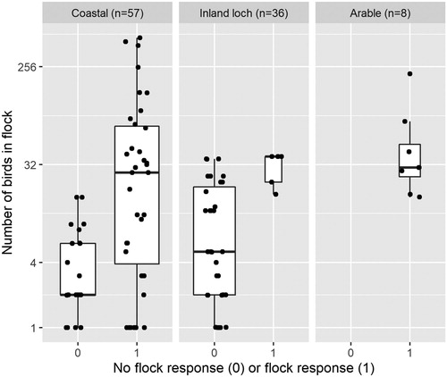 Figure 2. Summary of all drone approaches to waterbird flocks by habitat type and flock size. Each box represents the second and third quartiles, the bold line represents the median value, and the whiskers represent the first and fourth quartiles. The width of each box is proportional to the number of records in that category, and each individual trial is represented by a dot (with a jitter effect to make overlapping points discernible). In the arable habitat, all eight approaches resulted in a flock response. The y-axis scale is logged.