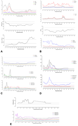 Figure 2 Changes in the laboratory examination results. (A) Regular blood test. (B) Coagulation function. (C) Liver function. (D) Muscle enzymology and renal function. (E) Blood glucose and electrolytes.